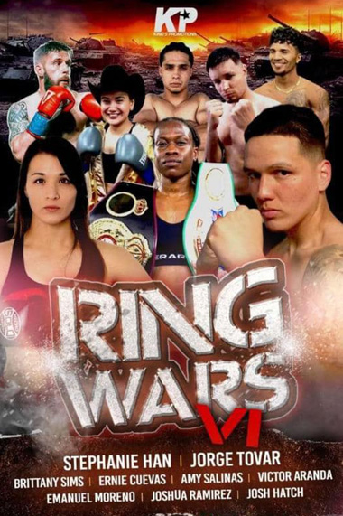 Press Release: Boxing Manager 2 Video Game features Sue TL Fox in